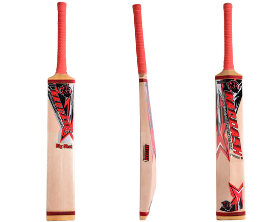 Kashmir Willow Leather Ball Cricket Bat, Exclusive Cricket Bat for Adult Full Size with Free Best Bat Cover & Protection Sheet