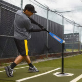Half Paddle Baseball bat 31 Inch Long High Grade Maple Wood Training Softball Bat, T-Ball, Wiffle bat for Professional Players in 17 oz by NAQQASH SPORTS