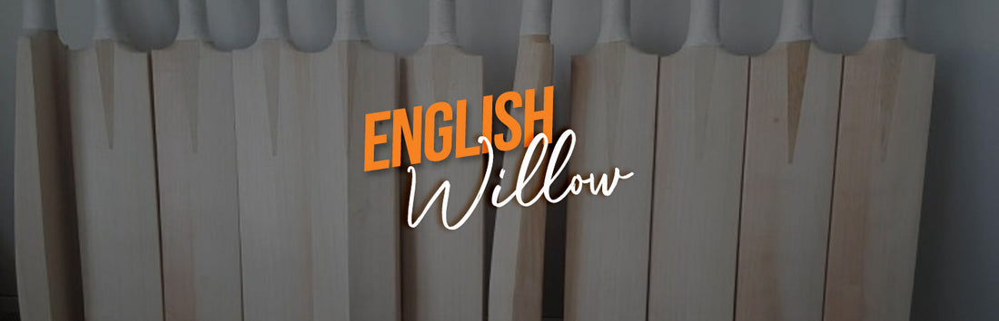 English Willow Cricket Bat