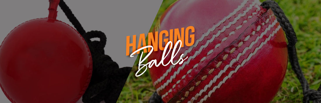 Cricket Hanging Ball