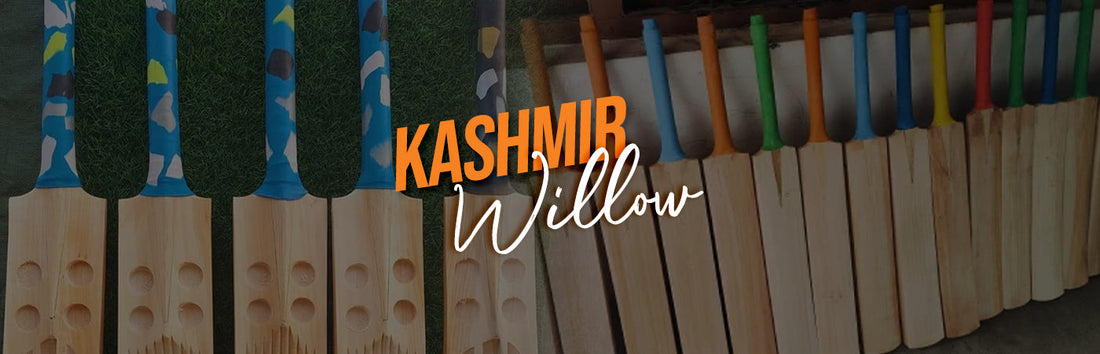 Kashmir Willow Cricket Bat