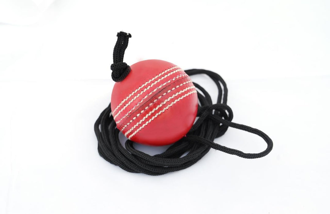 Willow Cricket Hanging Ball for Bat Knocking and Practice, 1 Hard Ball