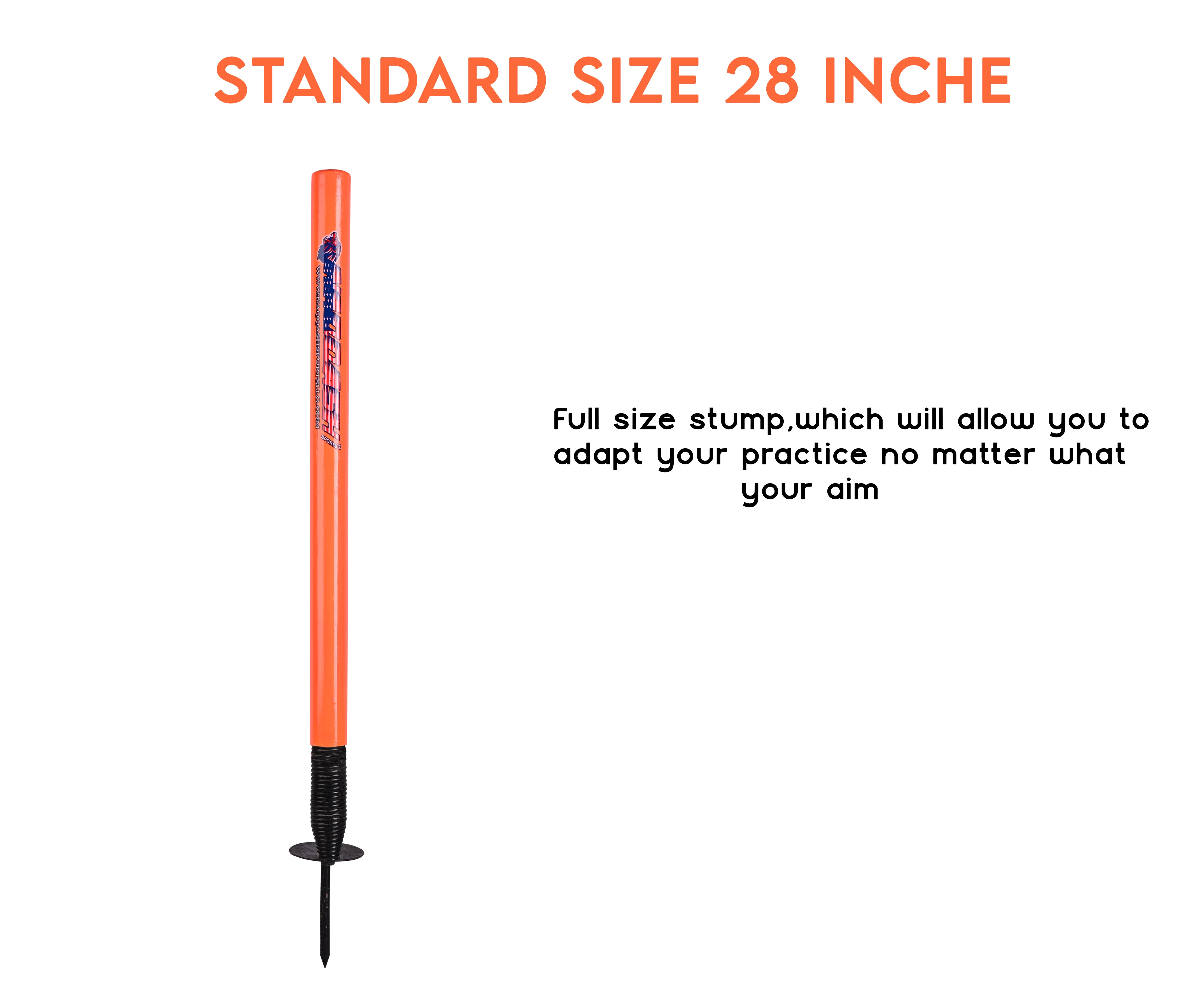 Level up Your Training with Naqqash Sports Cricket Target Stump Wicket 28-inch